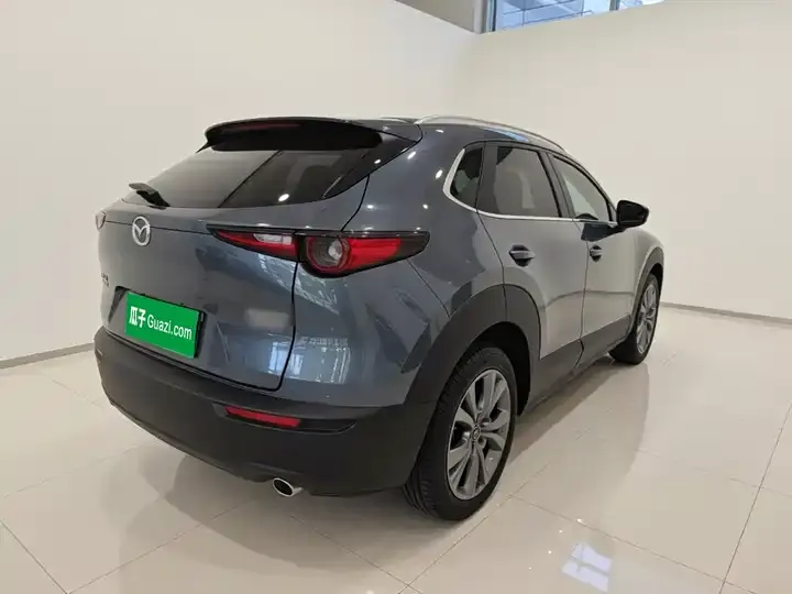 Mazda CX-30 2021 2.0L Auto Jiayue 6