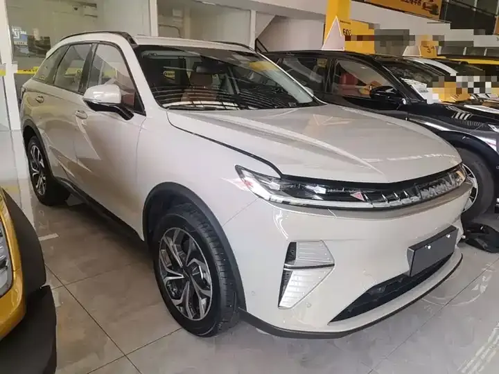Haval Xiaolong MAX 2025 Hi 4 165 Ultra Smart Driving Edition 4