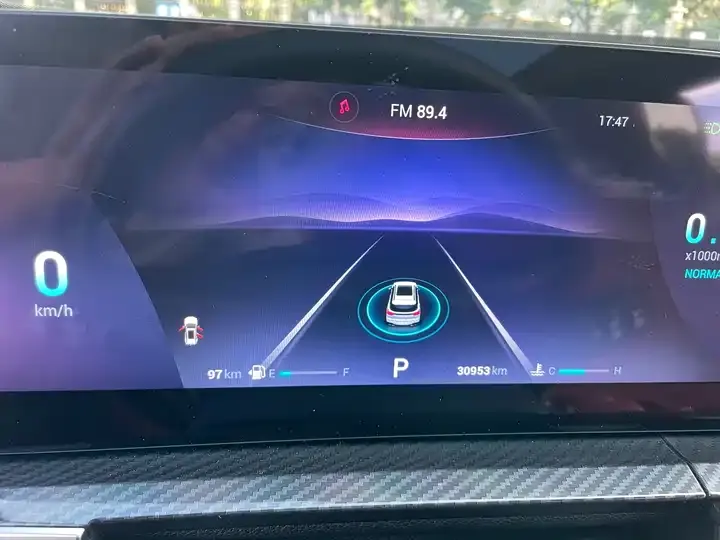 Ruihu 7 PLUS 2023 Champion Edition 1.5TCI CVT Luxury Model 12