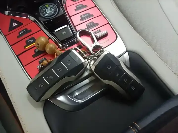 Song PLUS New Energy 2021 EV Flagship 9