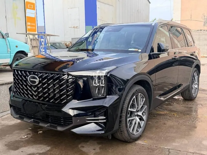 Trumpchi 2025 GS8 2.0TGDI Leading Series, Two-Wheel Drive Luxury Version, 5-Seater, Automatic Transmission - View 1