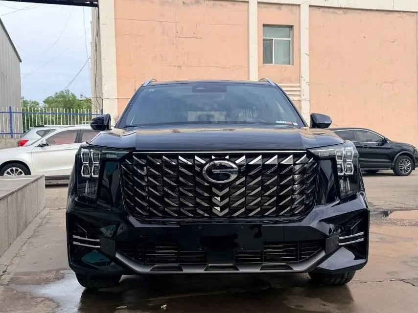 Trumpchi 2025 GS8 2.0TGDI Leading Series, Two-Wheel Drive Luxury Version, 5-Seater, Automatic Transmission 2
