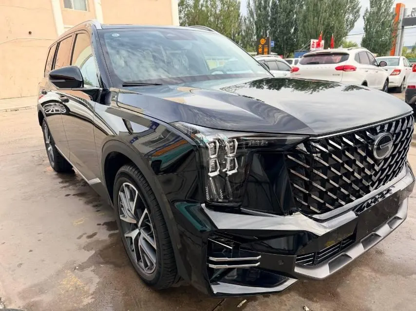 Trumpchi 2025 GS8 2.0TGDI Leading Series, Two-Wheel Drive Luxury Version, 5-Seater, Automatic Transmission 6