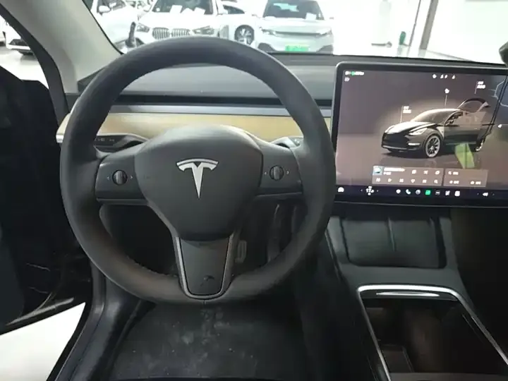 2022 Model Y Rear-Wheel Drive Edition 11