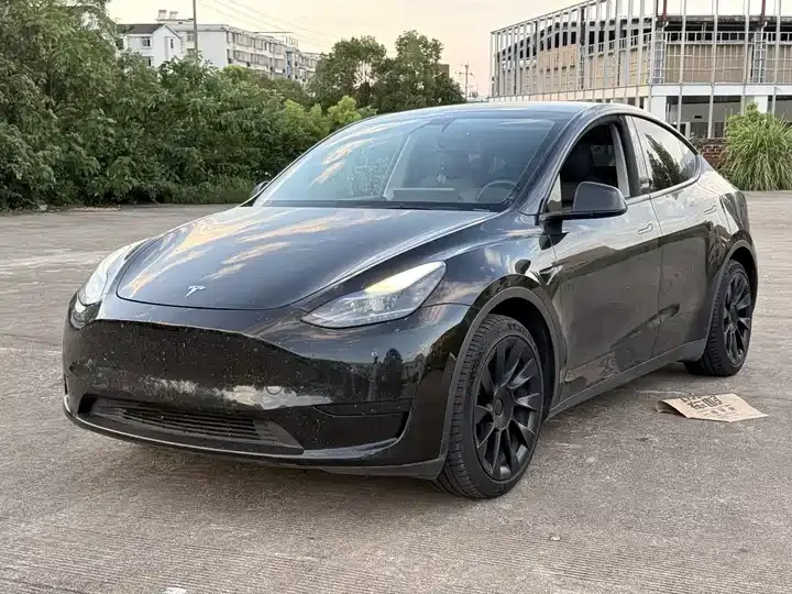2022 Model Y Rear-Wheel Drive Edition 2