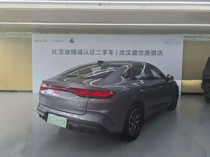2025 Qin L DM-i Intelligent Driving Version 120KM Leading Model 4