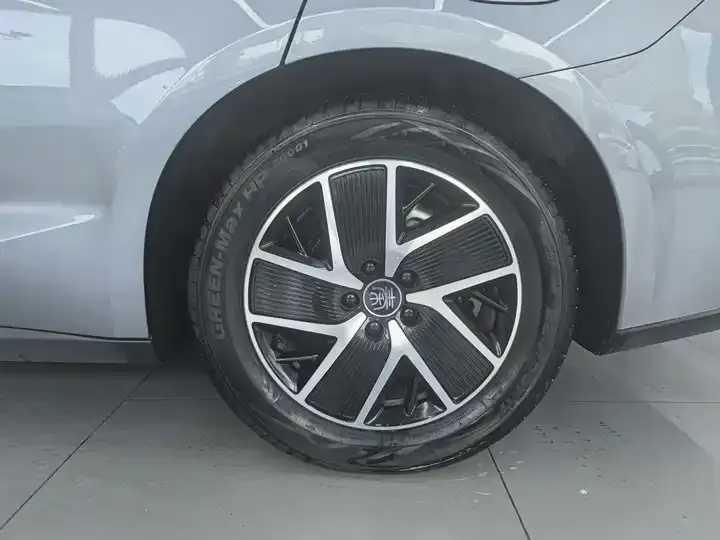 2025 Qin L DM-i Intelligent Driving Version 120KM Leading Model 8
