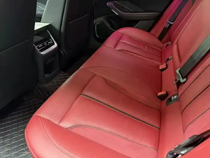 HongQi H6 2024 2.0T Zhishang Edition 9