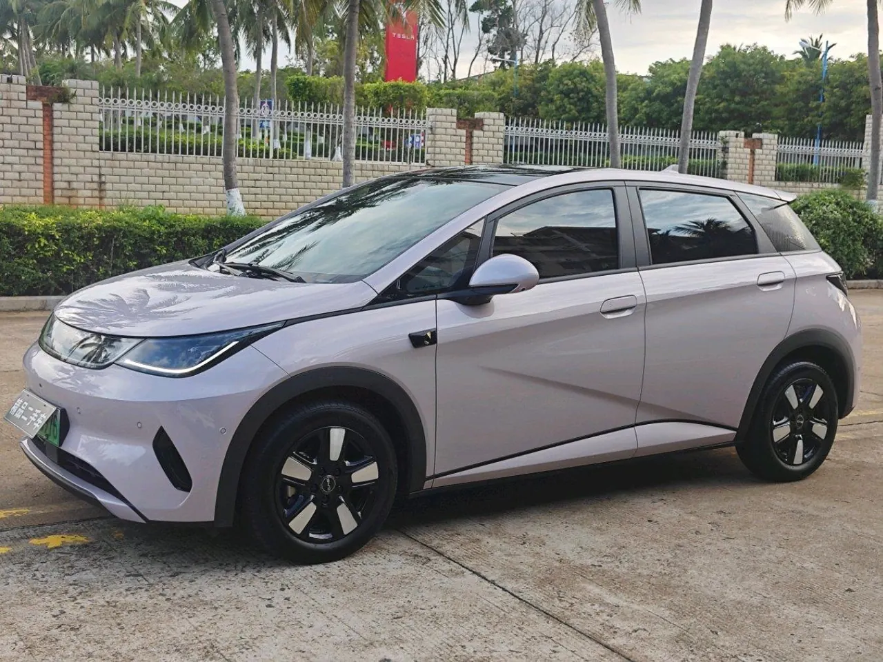 BYD 2025 Dolphin Smart Driving 410km Fashion Automatic Gear - View 1