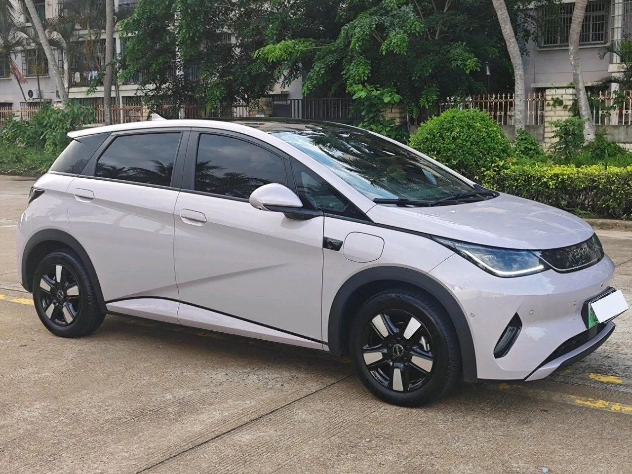 BYD 2025 Dolphin Smart Driving 410km Fashion Automatic Gear 3