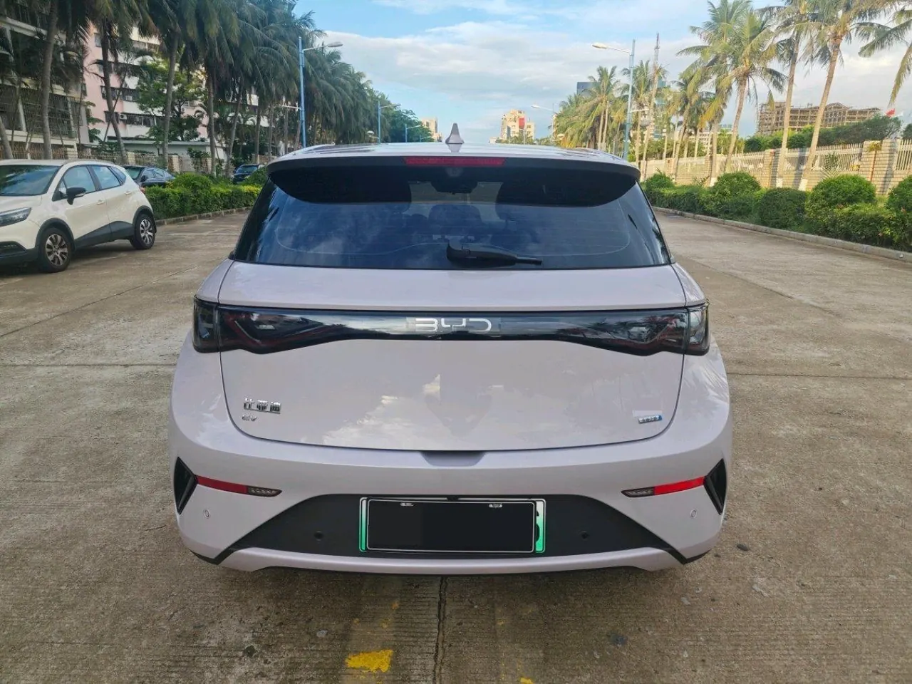 BYD 2025 Dolphin Smart Driving 410km Fashion Automatic Gear 8