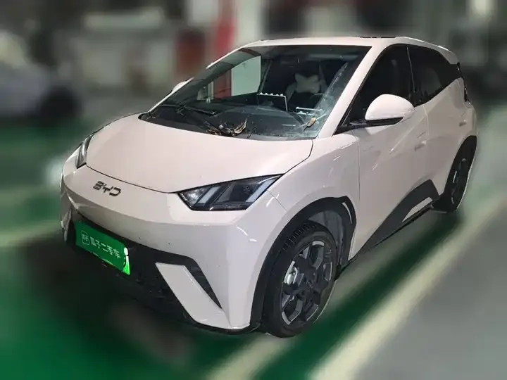 Seagull 2025 Model, 305 km, Freedom Edition - View 1
