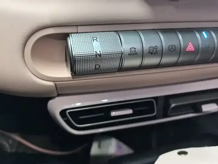 Seagull 2025 Model, 305 km, Freedom Edition 10