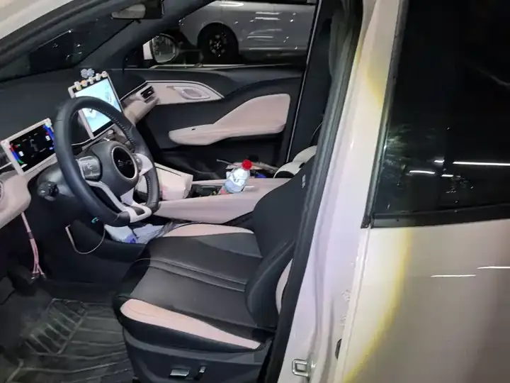 Seagull 2025 Model, 305 km, Freedom Edition 11