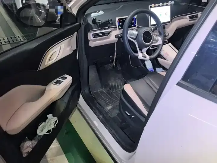 Seagull 2025 Model, 305 km, Freedom Edition 12