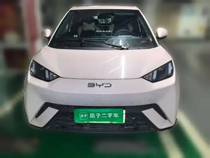 Seagull 2025 Model, 305 km, Freedom Edition 2