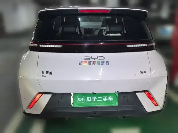 Seagull 2025 Model, 305 km, Freedom Edition 3