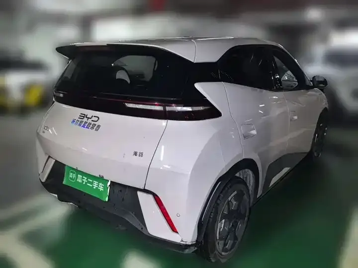 Seagull 2025 Model, 305 km, Freedom Edition 4