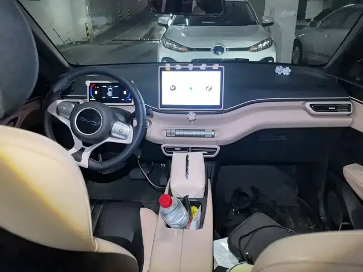 Seagull 2025 Model, 305 km, Freedom Edition 5