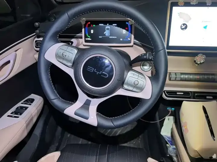 Seagull 2025 Model, 305 km, Freedom Edition 6
