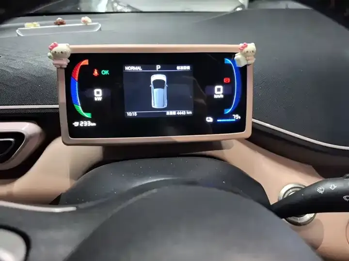 Seagull 2025 Model, 305 km, Freedom Edition 7