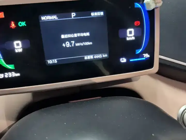 Seagull 2025 Model, 305 km, Freedom Edition 8