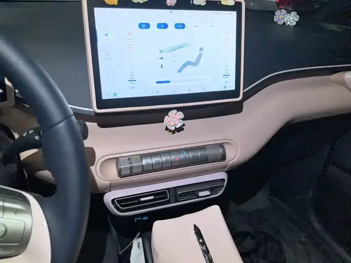 Seagull 2025 Model, 305 km, Freedom Edition 9