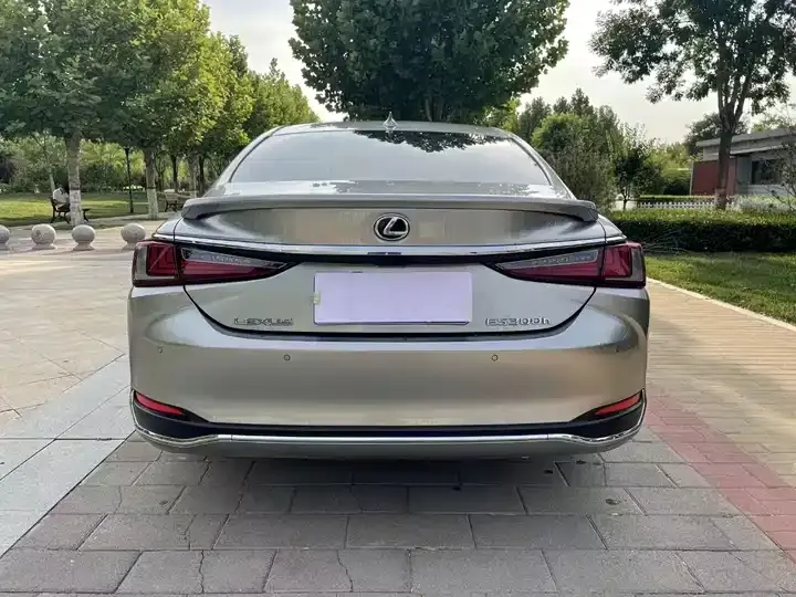 Lexus ES 2022 300h Premium Edition 8