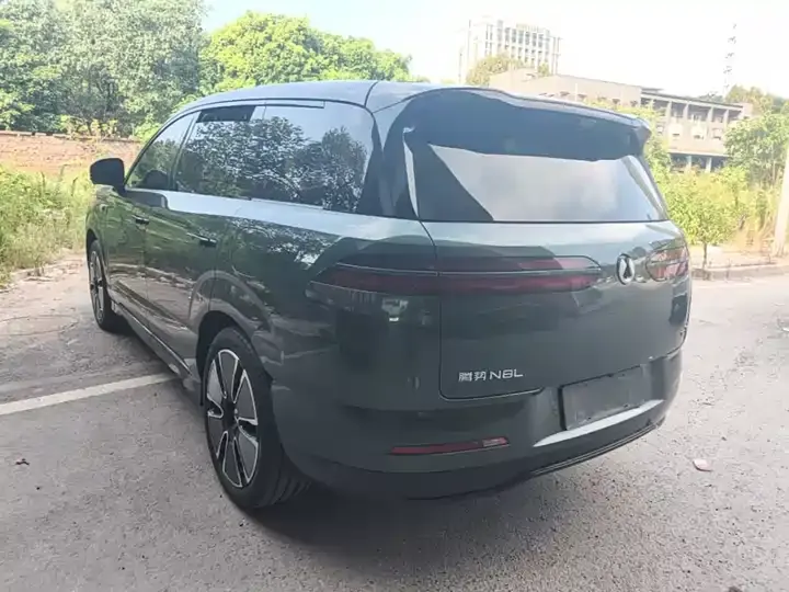 Denza N8L 2025 flagship 5
