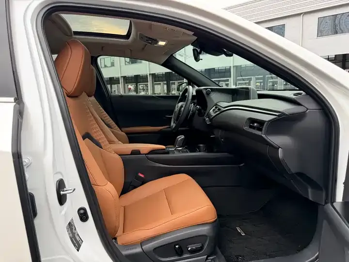 Lexus UX New Energy 2020 300e Pure Yue Edition 10