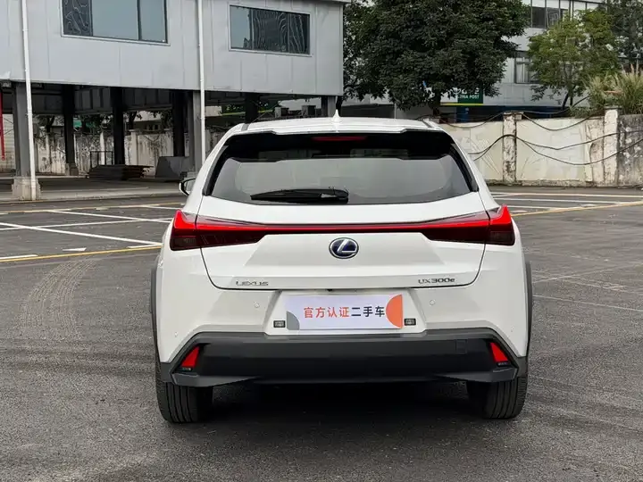 Lexus UX New Energy 2020 300e Pure Yue Edition 11