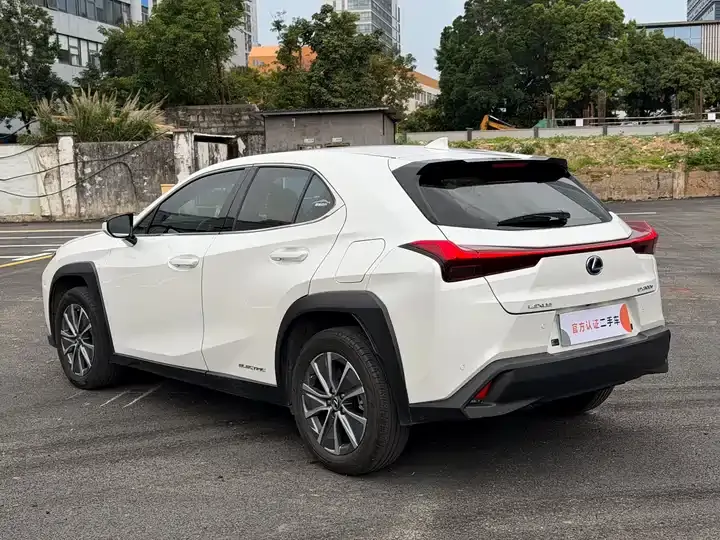 Lexus UX New Energy 2020 300e Pure Yue Edition 12