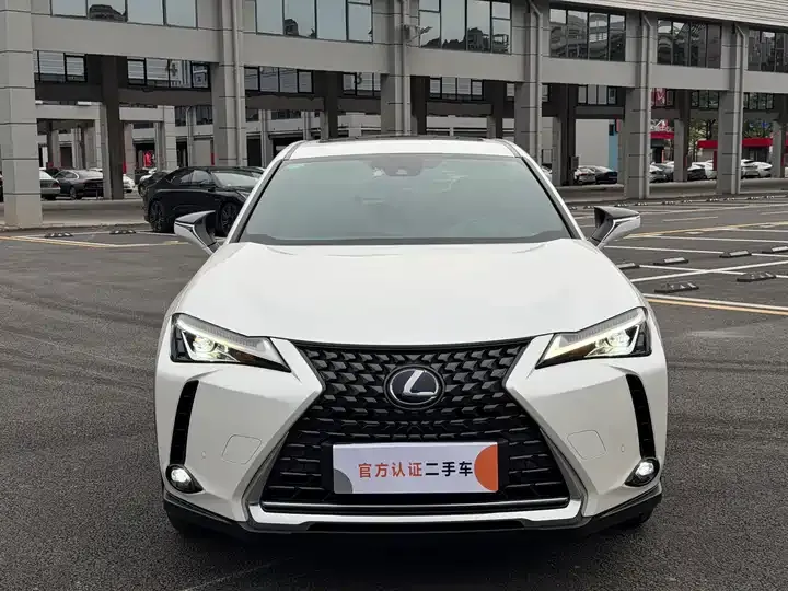 Lexus UX New Energy 2020 300e Pure Yue Edition 2