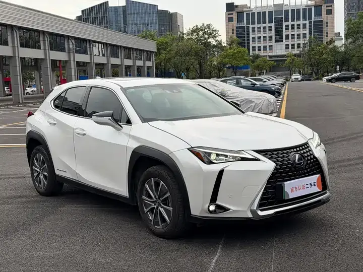Lexus UX New Energy 2020 300e Pure Yue Edition 3