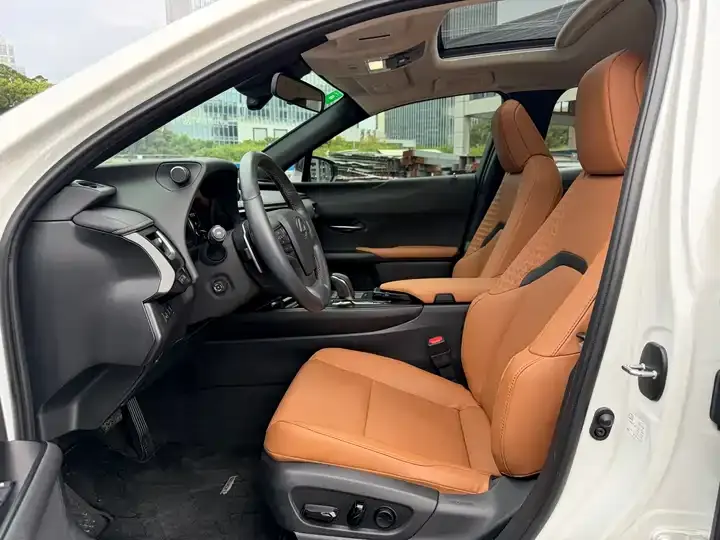Lexus UX New Energy 2020 300e Pure Yue Edition 4