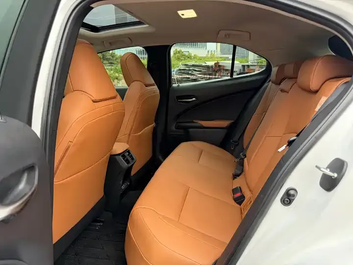 Lexus UX New Energy 2020 300e Pure Yue Edition 5