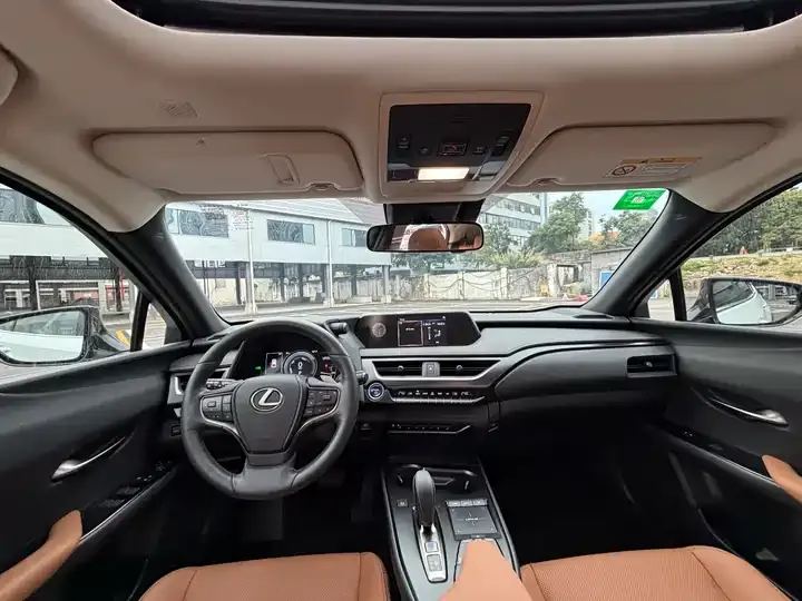 Lexus UX New Energy 2020 300e Pure Yue Edition 6