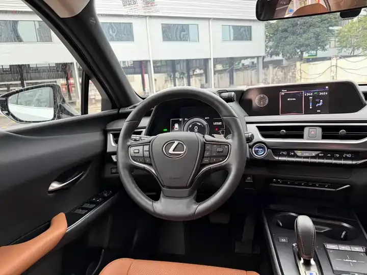Lexus UX New Energy 2020 300e Pure Yue Edition 7