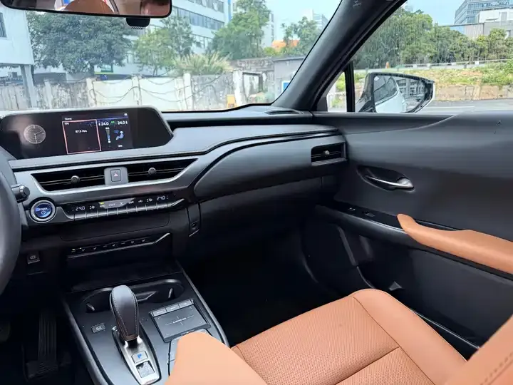 Lexus UX New Energy 2020 300e Pure Yue Edition 8
