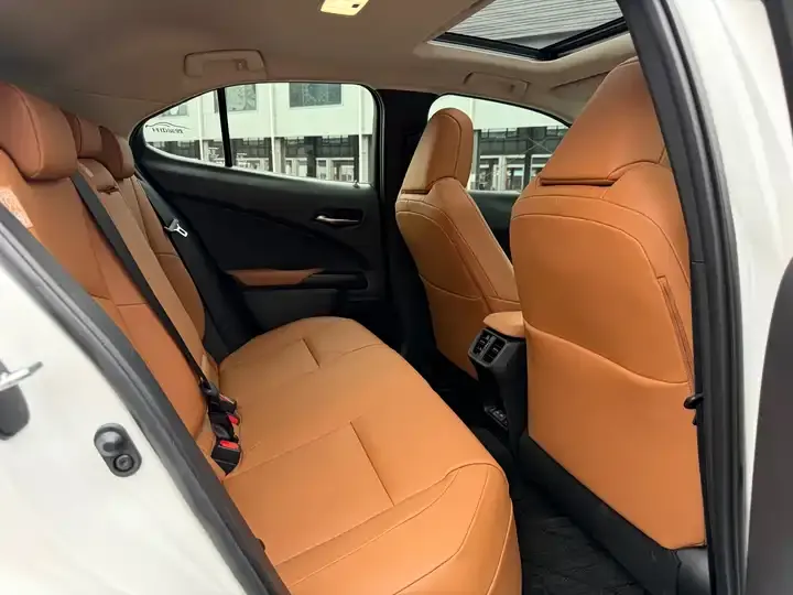 Lexus UX New Energy 2020 300e Pure Yue Edition 9
