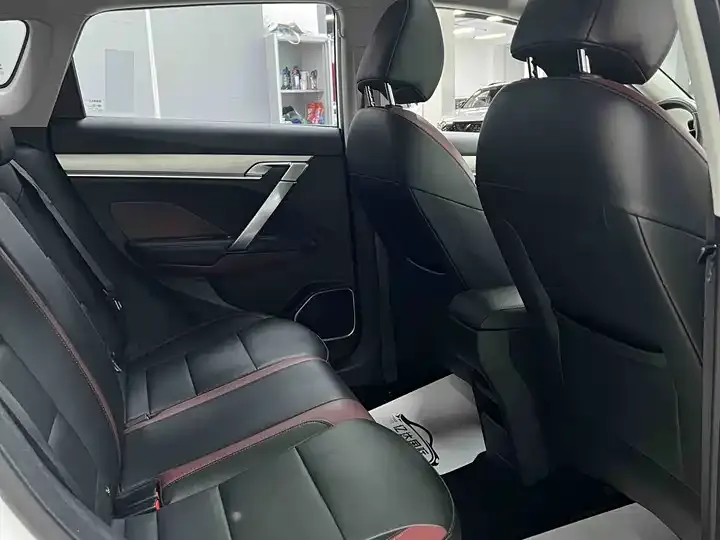Bin Yue 2021 1.4T DCT Platinum Edition 5