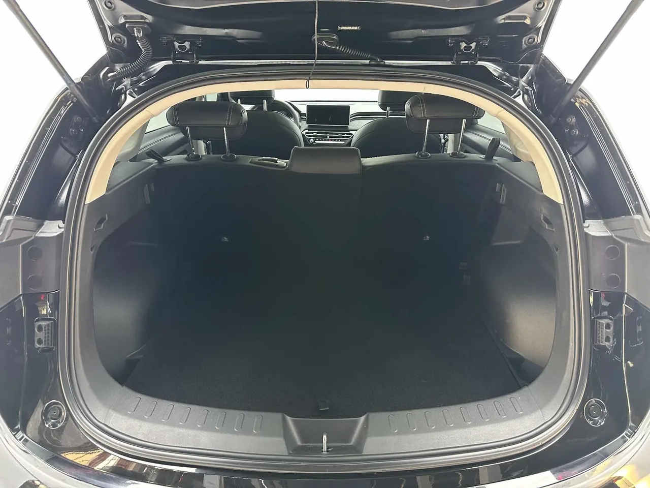 Haval 2022 red rabbit 1.5T strength version copper rabbit automatic gear 16