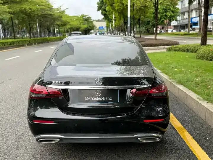 Mercedes Benz E Class 2022 E 300 L Sports Luxury Model 8