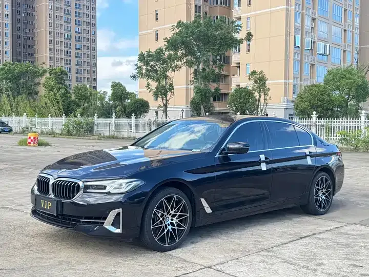 BMW 5 Series 2023 530Li Leading Luxury Suit - View 1