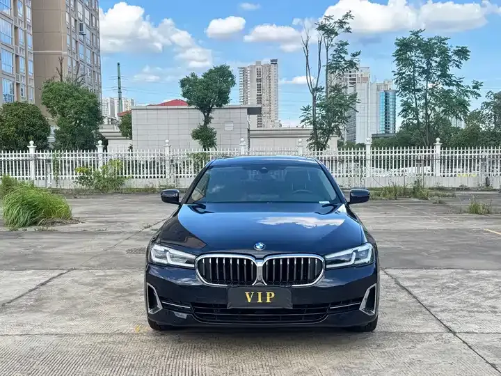 BMW 5 Series 2023 530Li Leading Luxury Suit 2