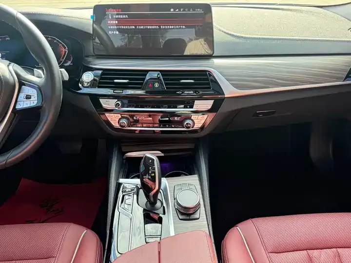 BMW 5 Series 2023 530Li Leading Luxury Suit 4
