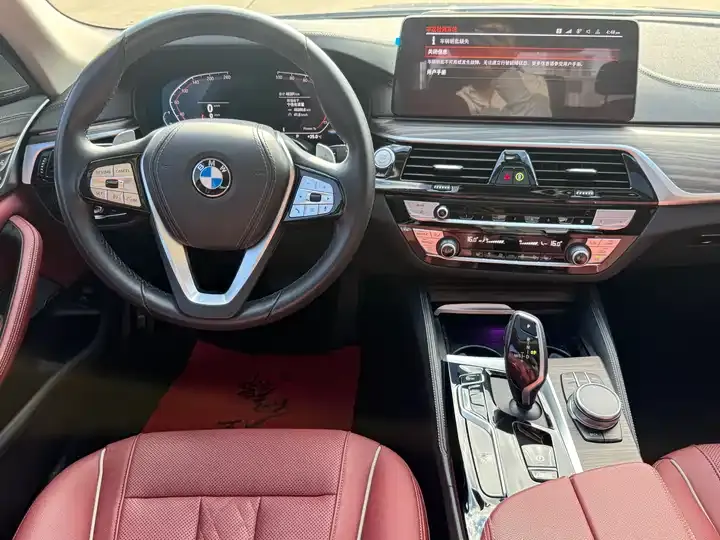 BMW 5 Series 2023 530Li Leading Luxury Suit 5