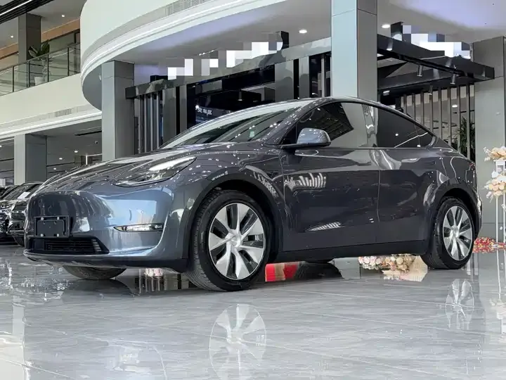 Model Y 2021 long-range all-wheel drive - View 1