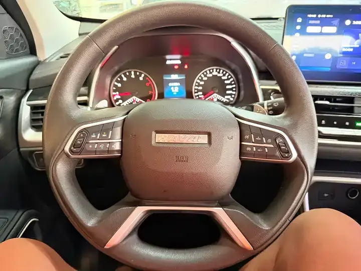 Haval H6 2021 National Tide Edition 1.5T Automatic City Edition 10