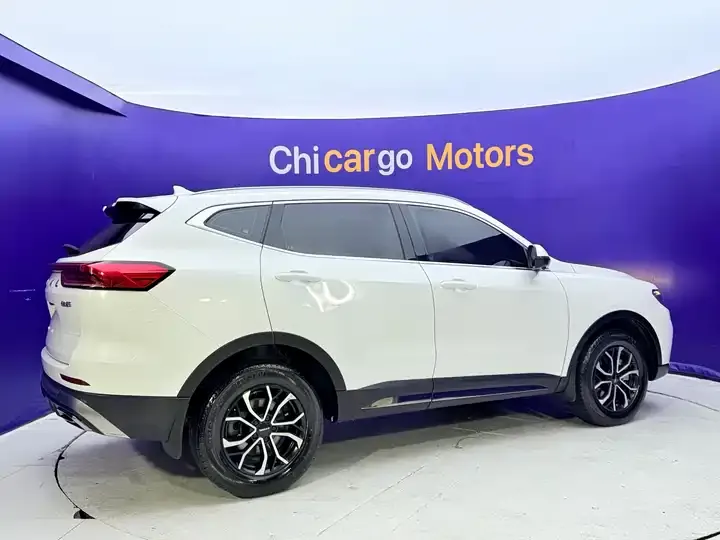 Haval H6 2021 National Tide Edition 1.5T Automatic City Edition 3